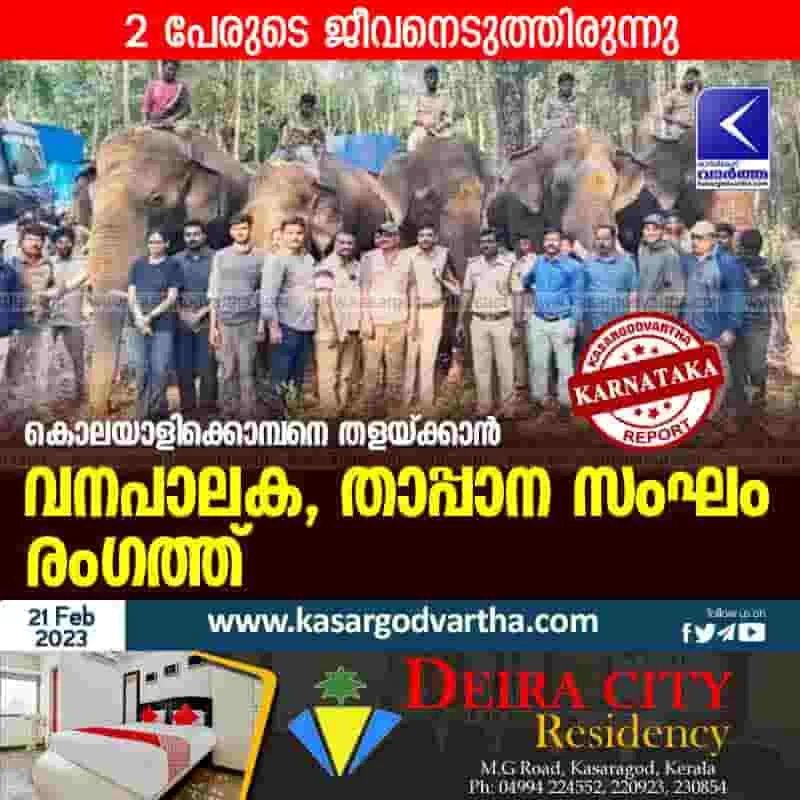 Latest-News, Karnataka, National, Mangalore, Animal, Elephant-Attack, Attack, Operation to capture elephant that killed 2 persons begins.