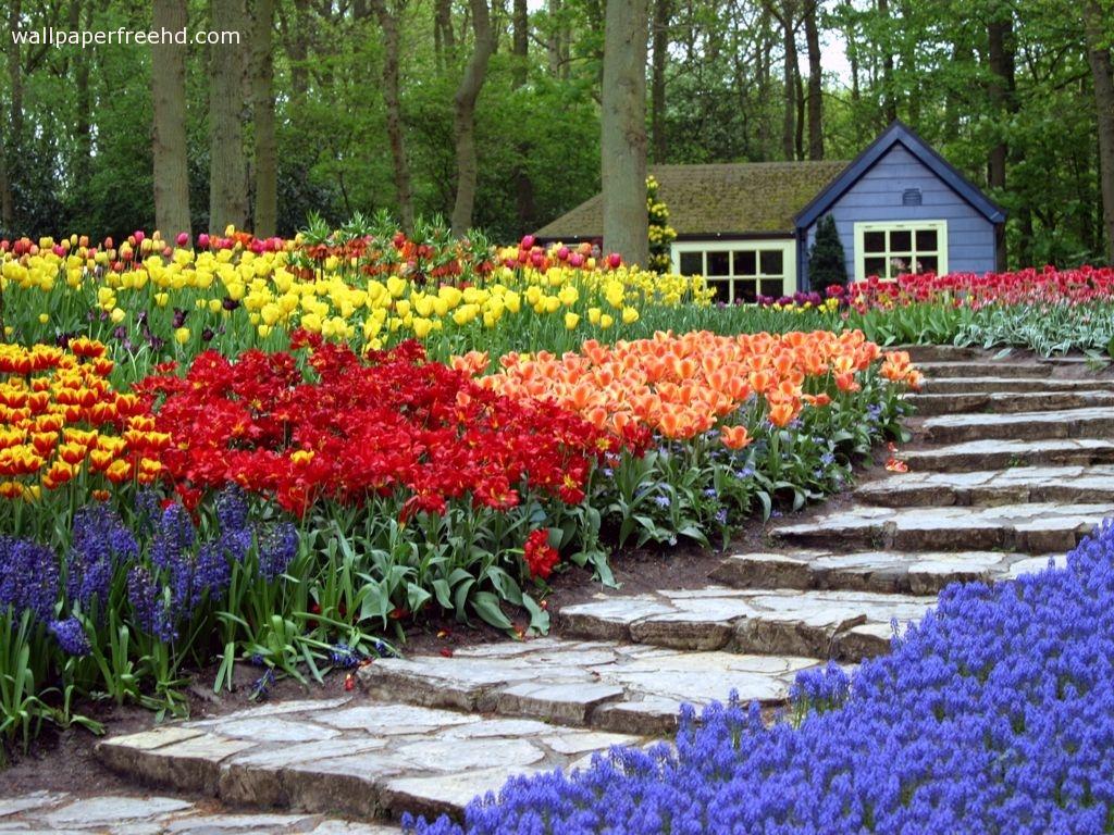 Free Beautiful Flower Garden Images