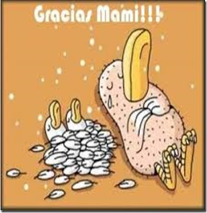dia de la madre humor grafico