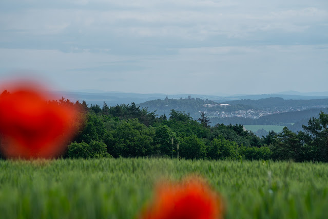 Burgensteig-Runde bei Kallmünz | Wandern im Regensburger Land 16