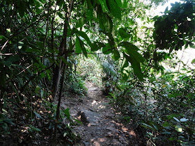 taman negara penang malaysia