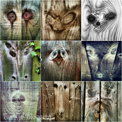 #fencefaces