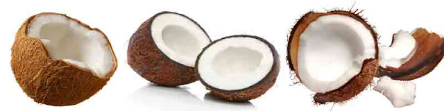 health_benefits_of_eating_coconut_fruits-vegetables-benefitsblogspot.com(1)