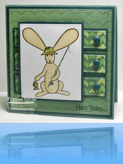MFT-Hare-Today-wm
