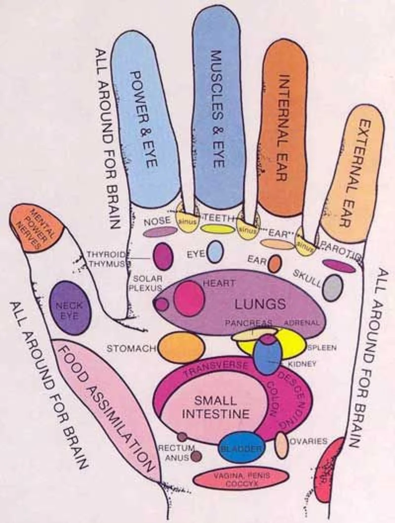 Medical and Health Science Hand reflexology!!