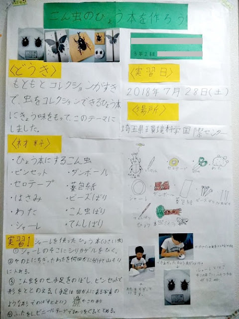 でかい模造紙だぁ 自由研究の作品 見せてもらいました でかい模造紙だぁ 自由研究の作品 見せてもらいました