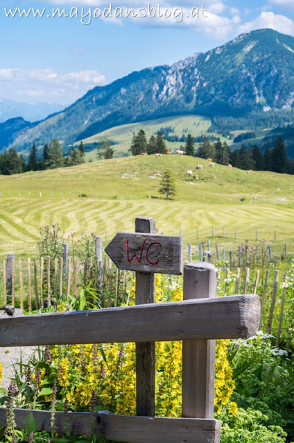 Zaun bei der Almhütte