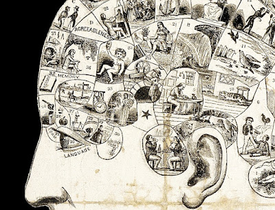 Diagram of sections of the mind relating to concepts and language