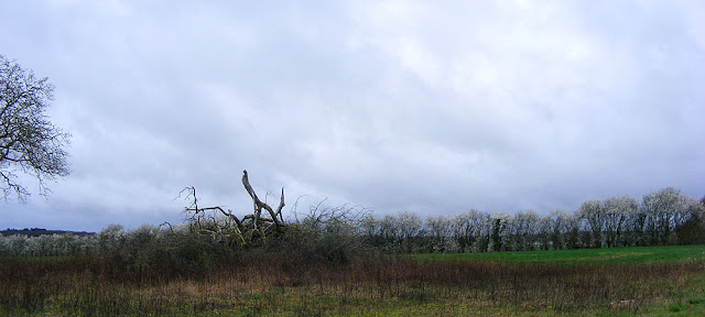 Photographed by Susan from Loire Valley Time Travel. https://tourtheloire.com