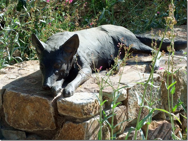coyote sculpture 4-27-2013 8-49-56 AM 3616x2712