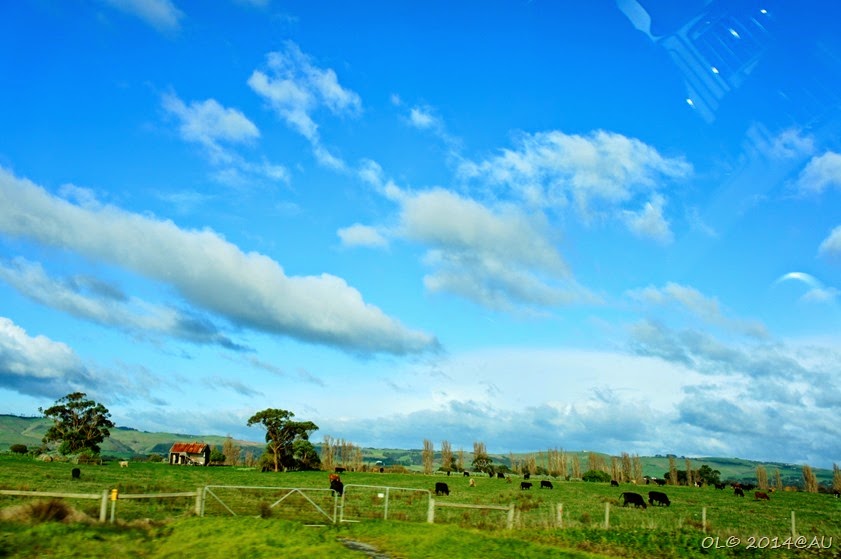 DSC07399