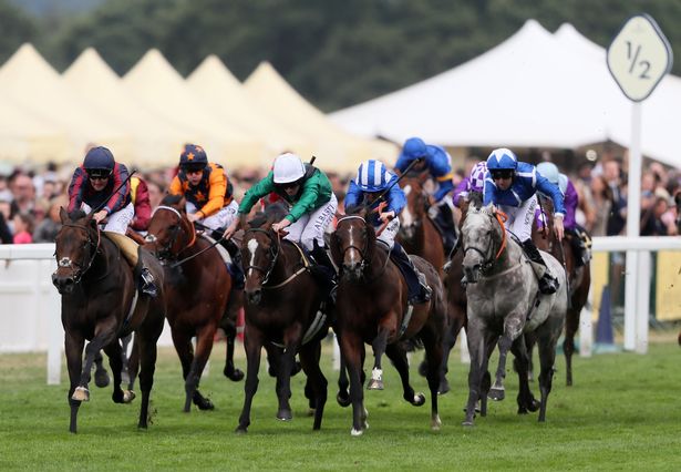 #RoyalAscot, day 5: #September ancora impressionante, a The Tin Man le Diamond mentre Idaho vince le Hardwicke