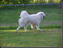 2010 Spring Alabama april may 390