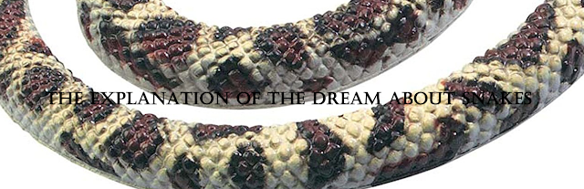 what does it mean when you dream about snakes