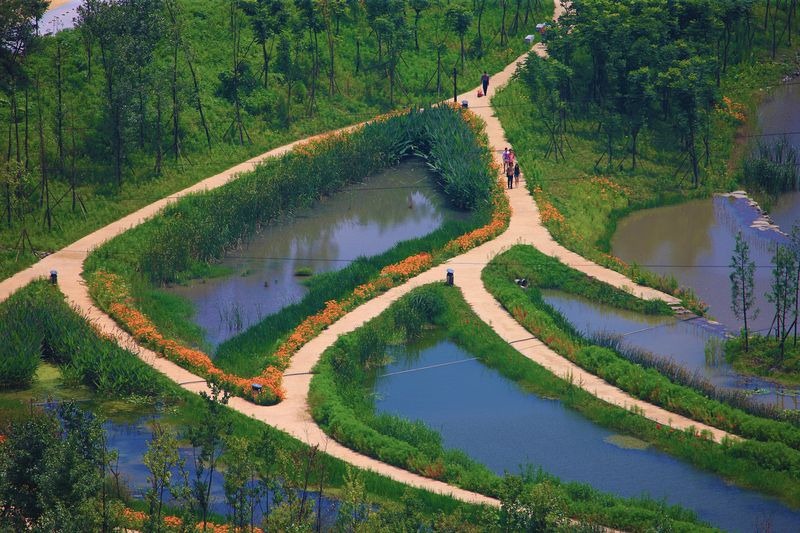 yanweizhou-park-2