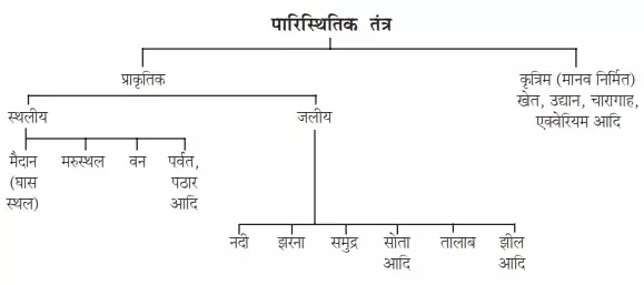 Types Of Ecosystem In Hindi