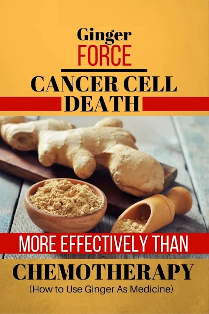 Amazing- Ginger Can be More Effective Than Chemotherapy!