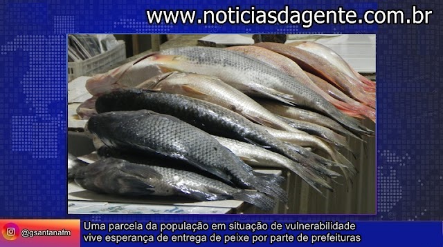 Uma parcela da população em situação de vulnerabilidade  vive esperança de entrega de peixe por parte de prefeituras