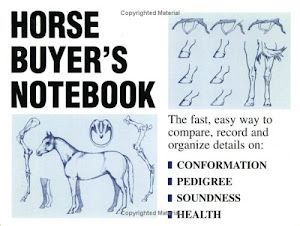 The Horse Buyer's Notebook