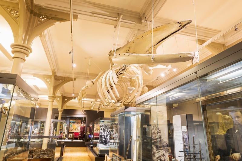 Skeleton of the Tay Whale at the McManus Galleries in Dundee.