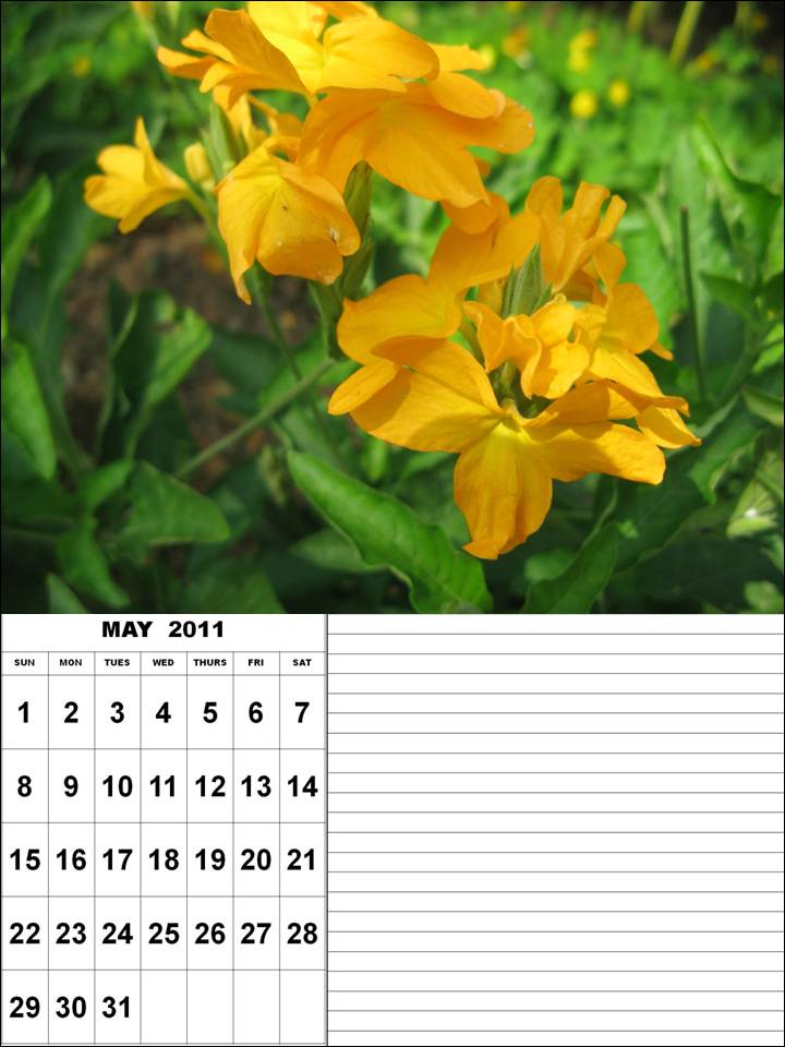 printables calendar 2011. printable calendar 2011 may.