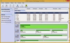 Dynamic Disk Manager Pro Edition