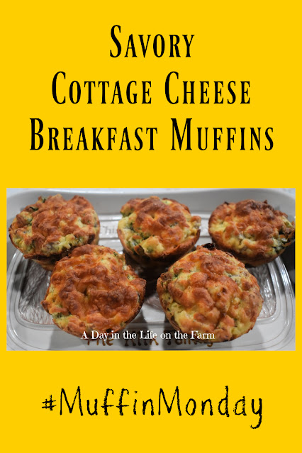 Cottage Cheese Muffins pin