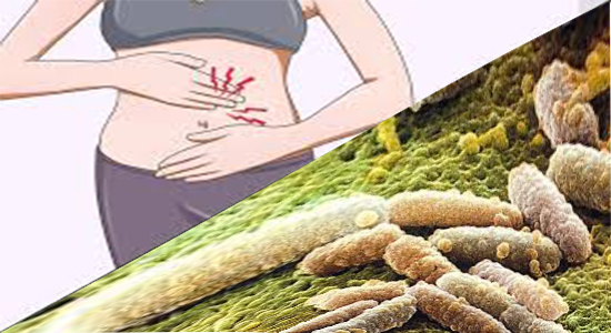 E. coli, Penyebab dan cara mengatasinya.