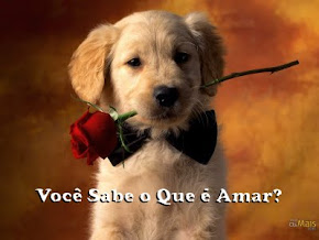 AMOR x Paixão:
