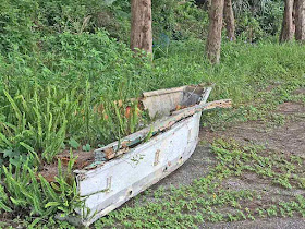 abandoned, boat, Kin Town, Okinawa, planter