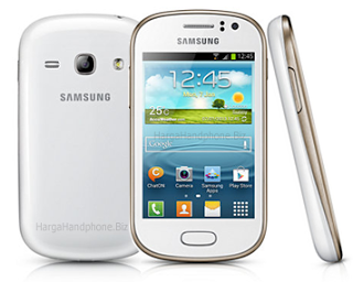 Samsung Galaxy Fame S6810