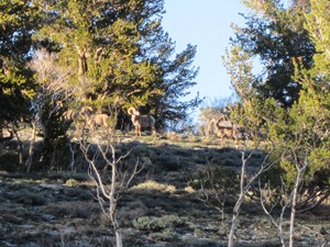 IMG_0177