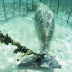 Estos buzos encontraron un horrible "zoológico" con animales enjaulados y atados en el fondo del mar. 