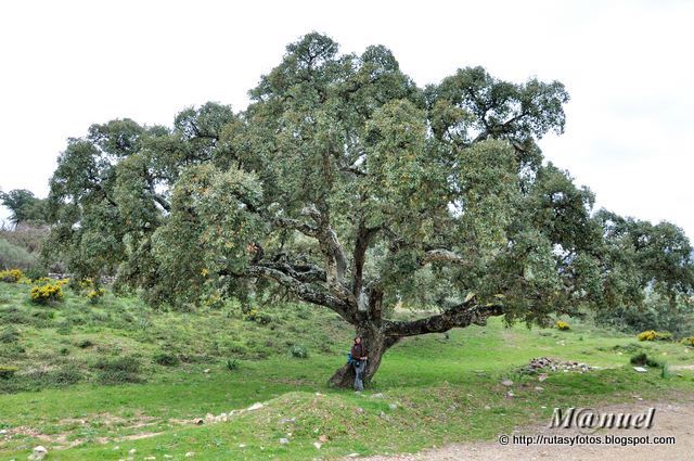 Nacimiento del arroyo Garciago