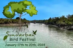 Sundarban Bird Festival 2024: A Celebration of Avian Diversity