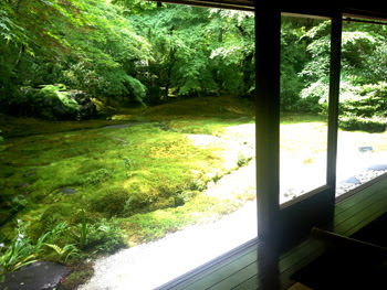 瑠璃光院 春の特別拝観