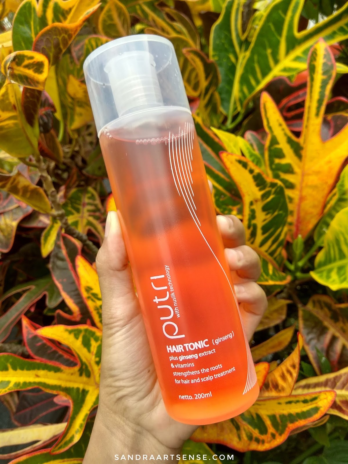 Sandraartsense.com: [REVIEW] Putri Hair Tonic Varian Ginseng