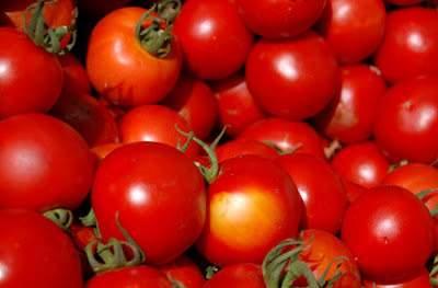 Photo of Early Girl tomatoes