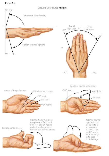 MOVEMENT OF THE HAND