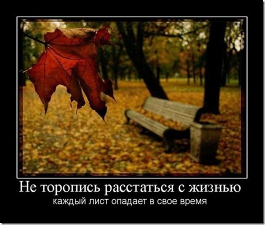 clip_image010[4]