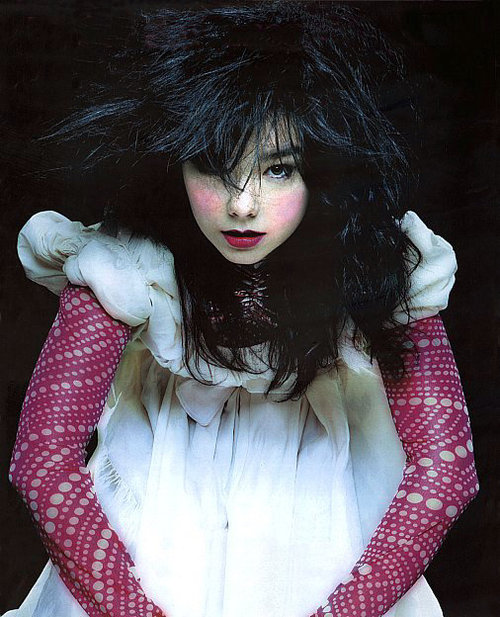 Bjork swan costume buy Wanted to the made to preface this Comes to dress
