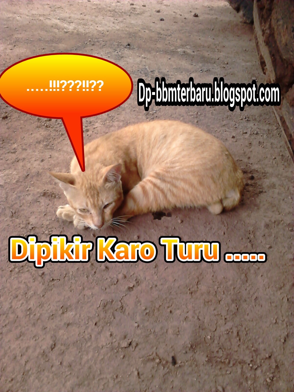 Foto Animasi Lucu Dp Bbm Naik Terbaru Display Picture Update