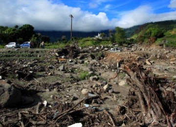 Belalang Kupu Kupu Hutan  Sumatera Masuk Situs Terancam