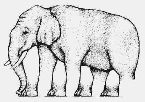 Awesome Illusions That May Make Your Brain Explode - How many legs does this elephant have? Are you sure?