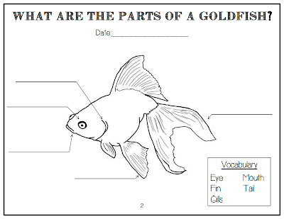 http://www.teacherspayteachers.com/Product/Goldfish-Guppies-Interactive-Science-Notebook-1037615