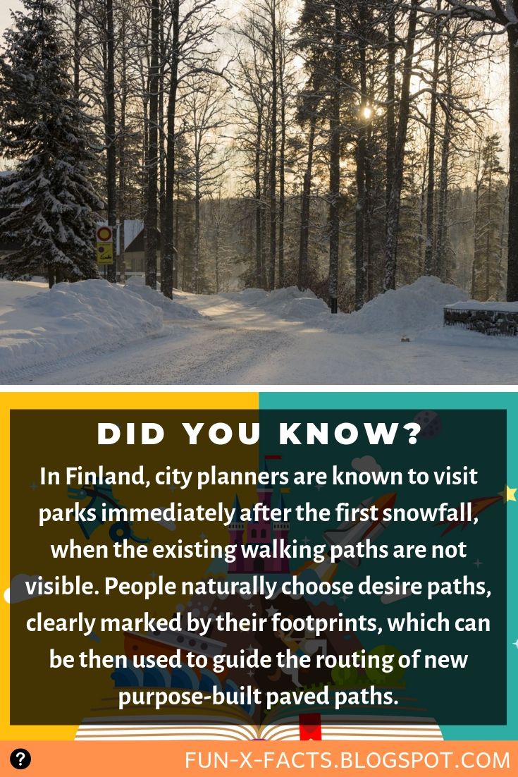 Interesting fact: in Finland, city planners are known to visit parks immediately after the first snowfall