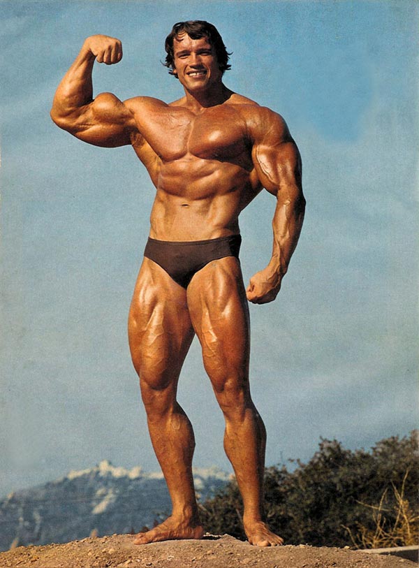 arnold schwarzenegger son. arnold schwarzenegger son