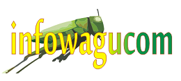 infowagu.com