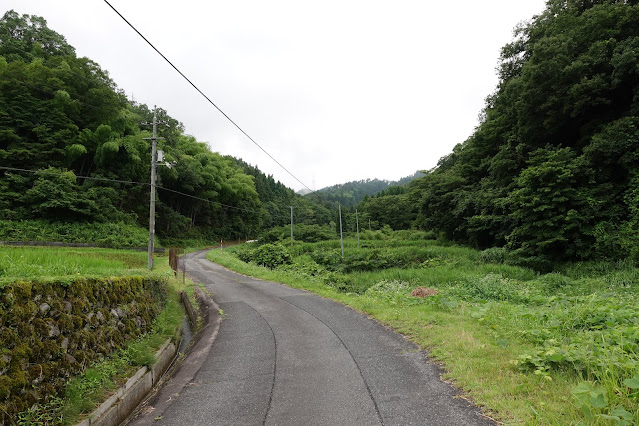 こもれび広場に向かいます