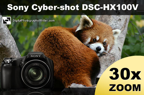 Sony HX100V with animal image in background
